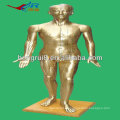 ISO HR-501A modelo de acupuntura humana (bronce) 178CM, modelo de acupuntura